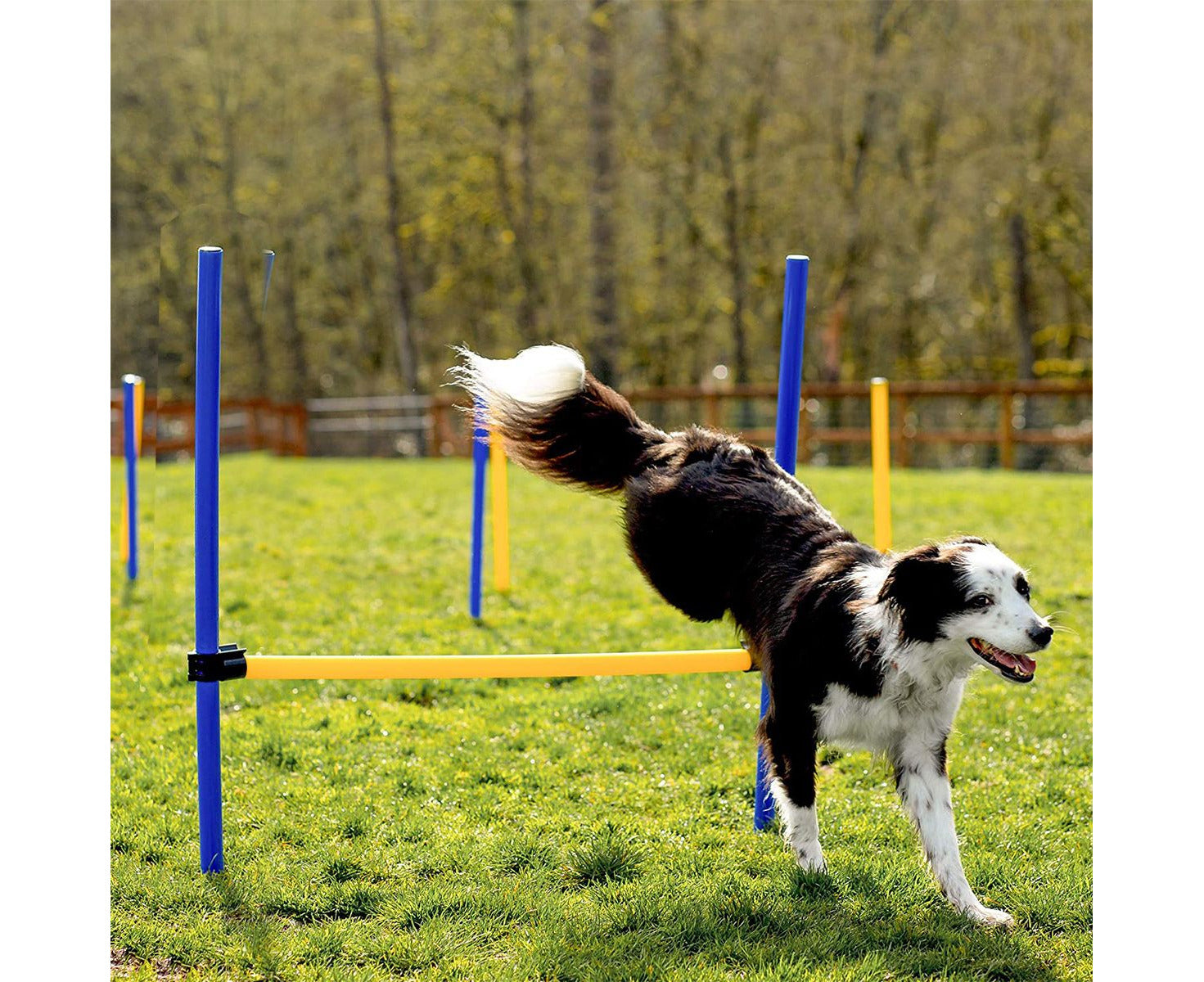 Pawise Dog Agility Equipment Set 28 PCS Pet Obstacle Training Course Tunnel Poles Pause Box Carrying Bags