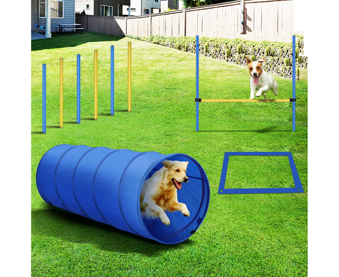 Pawise Dog Agility Equipment Set 28 PCS Pet Obstacle Training Course Tunnel Poles Pause Box Carrying Bags