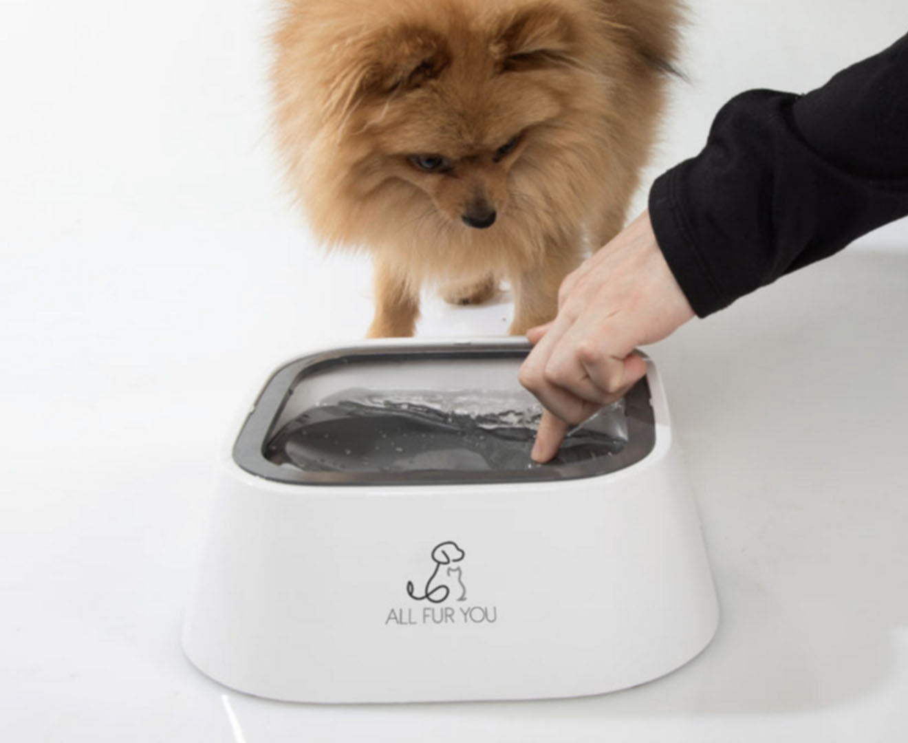 1L Anti-Splash Pet Water Bowl